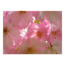 Japanese Cherry Blossom Personalized Announcement
