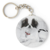 Japanese Chin Puppy on White Wicker Chair Keychain
