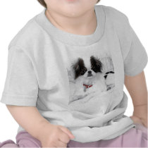 Japanese Chin Puppy on White Wicker Chair Shirt