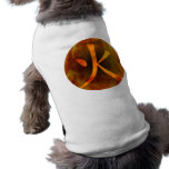 Japanese / Chinese "Fire" pet clothing
