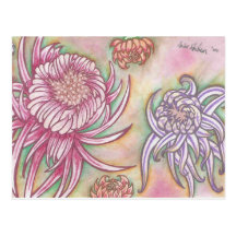 Japanese Chrysanthemums Postcards
