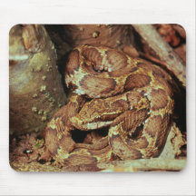 Japanese copperhead mousepads