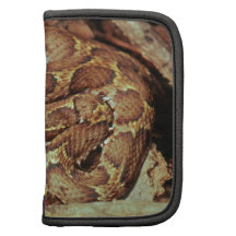 Japanese copperhead organizers