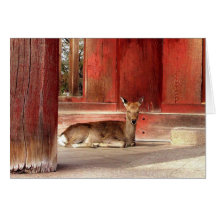 Japanese Deer Note Cards - G