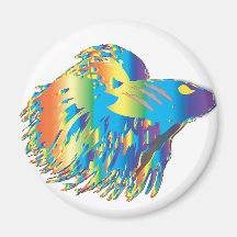 Japanese Fighting Fish Refrigerator Magnet