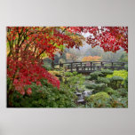 Japanese Garden in a Foggy Fall Morning Poster