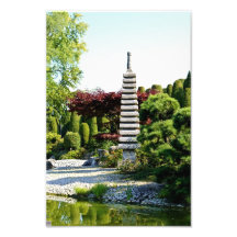 Japanese Garden Photo