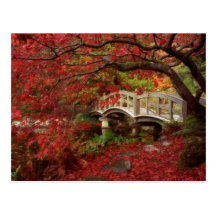 Japanese Garden Post Card