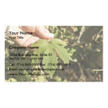 Japanese hops business card