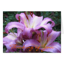 Japanese Lilies Card