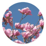 Japanese Magnolia Blooms Round Sticker
