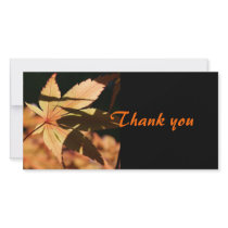 Japanese Maple (2) - Thank you Personalized Photo Card