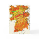 Japanese Maple cards