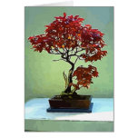 Japanese Maple Card