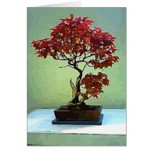 Japanese Maple Card