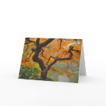 Japanese Maple Greeting Card