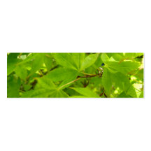Japanese Maple Leaf Profile Card Business Cards