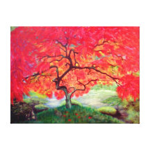 Japanese Maple tree Gallery Wrapped Canvas