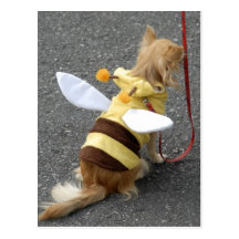 Japanese pet dog dressed as a bee on a postcard