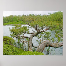 Japanese Pine Tree Print