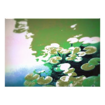 Japanese pond comunicados personales 