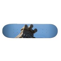 Japanese Rooftop Skate Board
