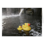 Japanese Rubber Duckies Cards