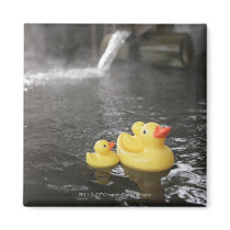 Japanese Rubber Duckies Magnets