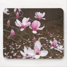 Japanese saucer Magnolia tree flower Mousepad