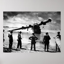 Japanese Sea Plane Print