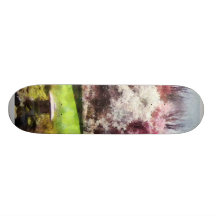 Japanese Spring Skateboard Decks