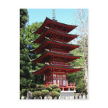 Japanese Teahouse, Balboa Park Postcard