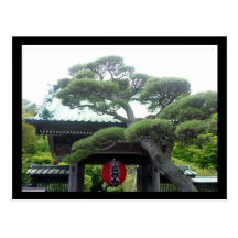 japanese tree postcards
