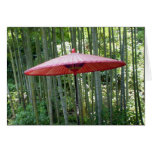 Japanese umbrella among the bamboo cards
