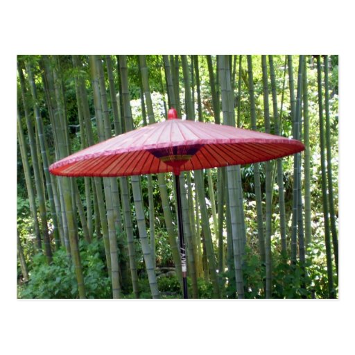 Japanese umbrella among the bamboo post card