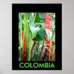 JARDIN BOTANICO, MARSELLA PRINT