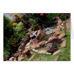 JARDIN cards