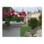 Jardin du Luxembourg Postcard