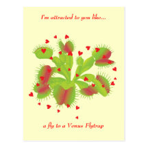 Jardinier dans l'amour cartes postales