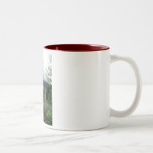 Jardins botaniques tasse