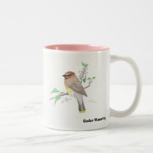 Jaseur de cèdre, jaseur de cèdre tasses à café