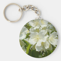Jasmine Bush Key Chains