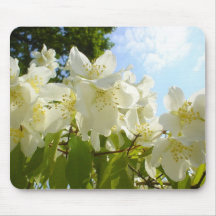Jasmine Flowers Mousepad