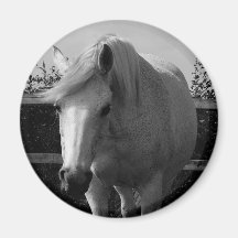 Jasmine Fridge Magnet