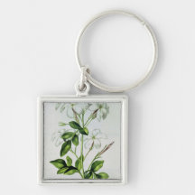 Jasmine, from 'La Guirlande de Julie' Keychain