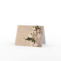 jasmine on old script handwriting notecard