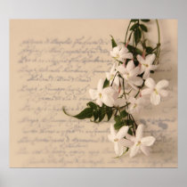 jasmine on old script handwriting poster colossal