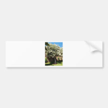 Jasmine Tree Bumper Stickers