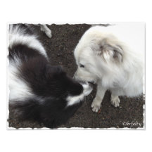 Jasper and Sampson 2 Photo Print