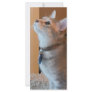 Jasper Kitten Photo Bookmark